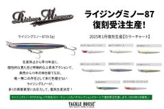 タックルハウス　ライジングミノー　RM87　Sinking　87mm　9.5g　　　1個当たりの販売価格です　カラーをご選択ください