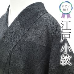 着物と帯 時流】SK26471◇洗える夏着物 小紋◇大きいサイズ 絽 黒 