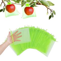 【人気商品】巾着袋 ぶどう イチゴ (グリーン 桃 びわ 園芸用ネット 野菜栽培 カラス対策 防鳥ネット 20cm×30cm) 防虫ネット 果物保護ネット 50枚入 果物保護バッグ 果物袋 DFsucces