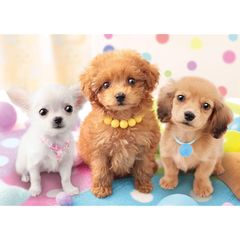 エポック社 500ピース ジグソーパズル いきもの/ペット いぬ こっち向いて! (38×53cm) 05-102 のり付き ヘラ付き 点数券付き EPOCH