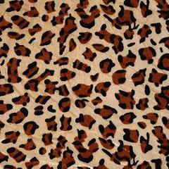 moonfarm 全6種 動物 レオパード 柄 ベロア 生地 約 2mx1.5m 1way( ヒョウ柄.C)