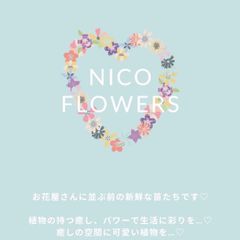 立派♡ポリアンサローズ♡マザーズデイ♡トレリス仕立て♡ - メルカリ