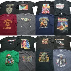 古着卸 まとめ売り 映画・ドラマ 半袖Tシャツ 16枚セット (メンズ XL /2XL ) ストレンジャーシングス ハリーポッター 中古 古着 NA0194