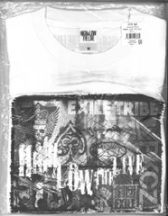 HiGH&LOW 16年 THE LIVE FINAL ツアーTシャツ(WHITE)