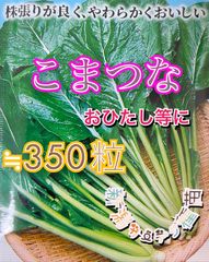こまつなの種