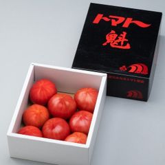 愛知県田原産　高糖度　魁　-Sakigake-　ファーストトマト 高糖度トマト　糖度は8度以上。   厳選された高品質で糖度の高いトマト