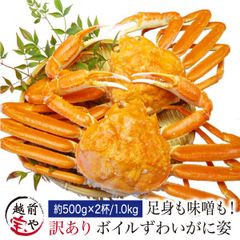 ズワイガニ 蟹 ボイル カニ姿 約500g×2杯 セット【冷凍】