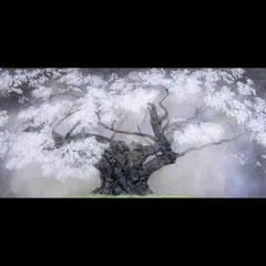 2025年最新】中島千波 桜の人気アイテム - メルカリ