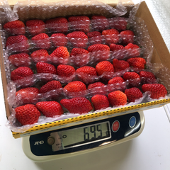 いちご4種類赤苺食べ比べ    クール便