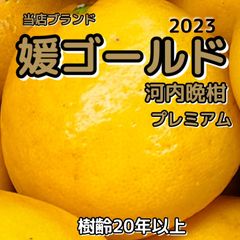 媛ゴールドプレミアム　内容量　7.5キロ　2Ｌ〜3Lサイズ優糖生(河内晩柑、美生柑、宇和ゴールなど呼び名が多い品種)※北海道、東北、沖縄のお客様発送不可です