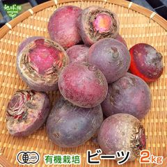 沖縄県産】ビーツ約2kg(箱込) 農薬・化学肥料不使用 - メルカリ