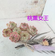 No.10　桃薫女王　ピーチクイーン
