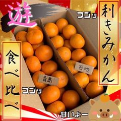 正月みかん　食べ比べ　2種入り　2.5キロ以上　有田産