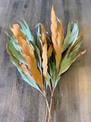 アナベルとエリンジウムのリース　パンパスグラス　グレベリア アナベルとエリンジウムのリースパンパスグラスグレベリア