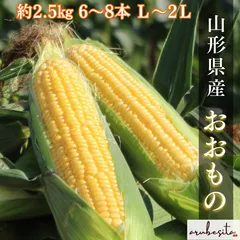 予約■山形県産とうもろこし 朝採りフルーツコーン【おおもの】約2.5㎏秀品6～8本（Ｌ～2Ｌ）7月中旬～のサムネイル