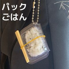 セール★食品サンプル キーホルダー パックご飯 白米 お米 お弁当 リアル ミニチュア キーリング ストラップ★魚介 魚 和食 日本食 お寿司 洋食 町中華 ゴルフバッグ リュック ポーチ バッグ タンパク質 ボディービル トレーニング ダイエット