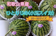 小玉スイカ(ひとりじめ7 )2S～3Sサイズ、5～6玉入り