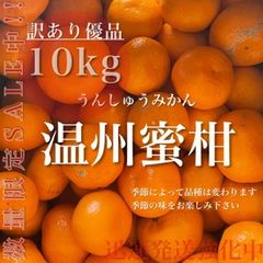 〝ありがとうSALE品〟温州蜜柑 ご家庭用 10kg 和歌山 ゆら早生 訳あり優品
