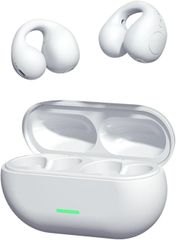 Item thumbnail for item 67c09529-9c82-4d4f-89f8-b8db7d65d748