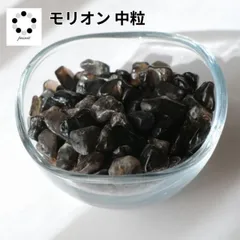 さざれ石 モリオン 黒水晶 中粒 100ｇ 浄化 クラッシュストーン ネイル インテリア 天然石 パワーストーン オルゴナイト プレゼント 黒白 pasmii