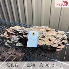 気孔石オブジェ⚫︎インテリア 置物 天然 自然 シンプル 2025年最新