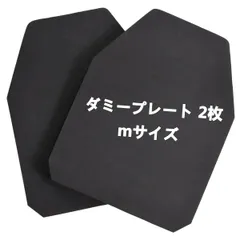 SAPIプレート　米軍実物 米軍実物 Ceradyne SAPI プレート 防弾 2枚セット SMALL