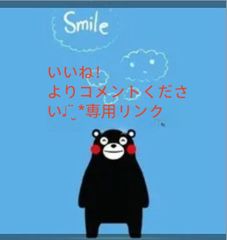 2~3日発送】LABUBU ラブブ第3世代 前方高能シリーズ マカロン ソフビ