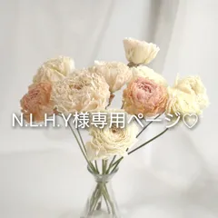 N.L.H.Y様専用ページ♡
