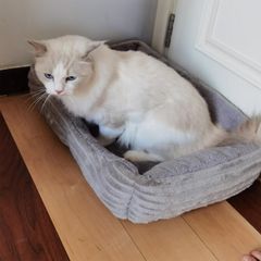 Item thumbnail for item f314ea96-15e0-4a06-8f1e-de4b56840113