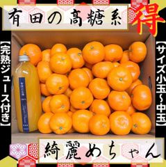 お買い得　有田みかん　4キロ　完熟ジュース付き♪
