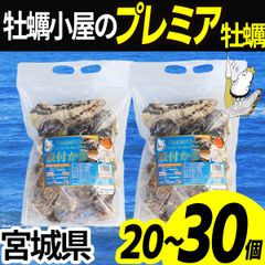 牡蠣 冷凍 【大中サイズ】殻付き 20〜30個 産地直送 宮城県産 三陸 カキ kaki 牡蛎 生牡蠣 海鮮 貝 貝類 バーベキュー BBQ 【1.5kg×2袋】
