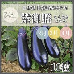 野菜 なす ナス 種 紫御膳 むらさきごぜん 2月 3月 4月 野菜の種 家庭菜園 プランター栽培 農業 畑 自給自足 自然農法 国産
