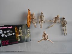 ΩFPn24Aeマイスターデッドオアアライブエクストリーム2フル10種