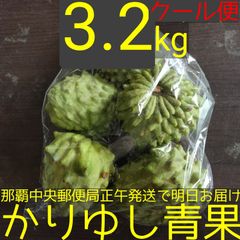 沖縄県産 アテモヤＢ品約3.2kg【クール便】10/18