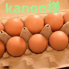 kanon様専用 訳あり卵40個　クール便