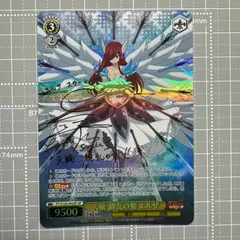 フェアリーテイル　金サイン 鎧の魔導士 エルザ ヴァイスシュヴァルツ ヴァイスシュヴァルツ フェアリーテイル エルザ・スカーレット