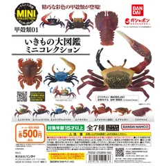 〈ビンテージフィギュア アサヒガニ 「国立科学博物館監修 科博所蔵品再現モデル」 Amazon.co.jp: ラフレシア 国立科学博物館監修 科博所蔵品再現
