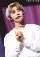 zb1 ゴヌク　くじプラ　ZEROBASEONE サイン入りチェキゆらゆら　C賞 サイン入りランダムチェキ | ALLY | LLVオンラインショップ