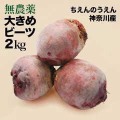 大きめ 畑のルビー‼️ 食べる輸血と話題の赤穂ビーツ rb02 - メルカリ