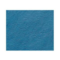 Item thumbnail for item f93d8f0e-04c5-4032-877c-29ef5ee9da69