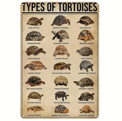 ブリキ 当時物 【 親ガメ 子ガメ 】 亀の親子 米屋 ブリキ 当時物 【 親ガメ 子ガメ 】 亀の親子 米屋