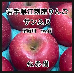 江刺産りんご　サンふじ　5kg箱 （家庭用）