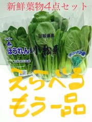 新鮮野菜葉物野菜4点セット