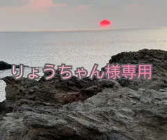 専用です。りょうちゃん様