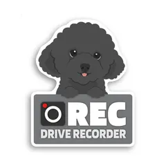 プードルのドラレコ録画中ステッカーのサムネイル