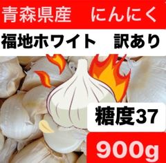 青森県産にんにく　福地ホワイト訳あり900g