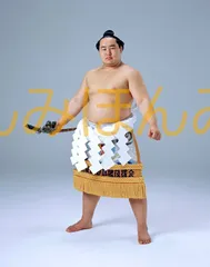 2025年最新】大相撲優勝額 ミニチュアの人気アイテム - メルカリ