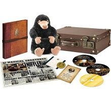 [신품] 환상적인 비스트와 마법사 여행 프리미엄 BOX (한정 생산 / 시리얼 인정 증명) Blu-ray 블루 레이 판타비