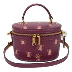2025年最新】coach バニティバッグの人気アイテム - メルカリ