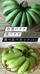 石垣島産 島バナナ&台湾バナナ 食べ比べセット 2kg